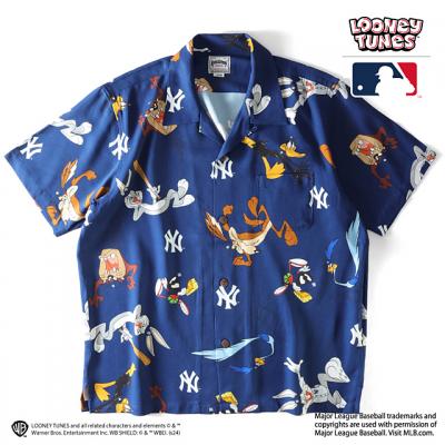 LOONEY TUNES ~ MLB AnVcHOUSTON